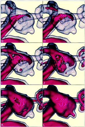 Fig 2.