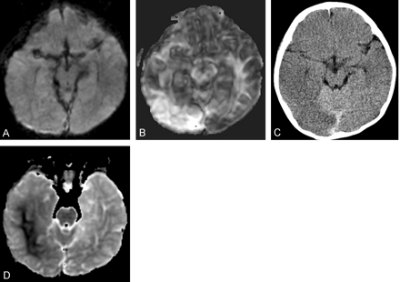 Fig 1.