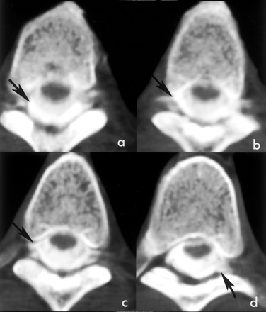 Fig 1.