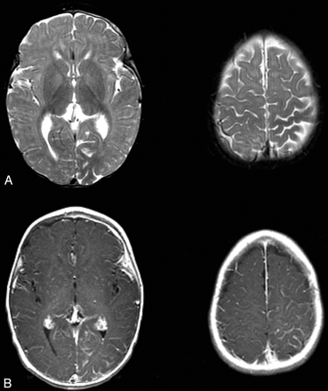 Fig 1.