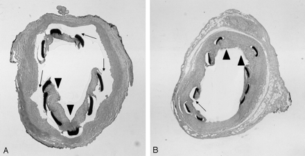 Fig 7.