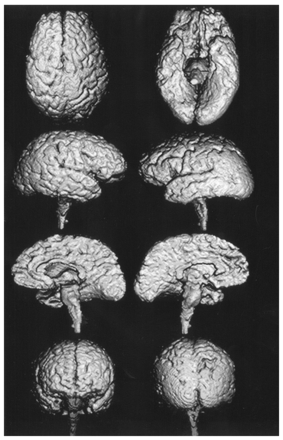 Fig 1.