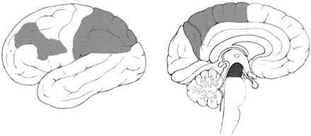 Fig 3.
