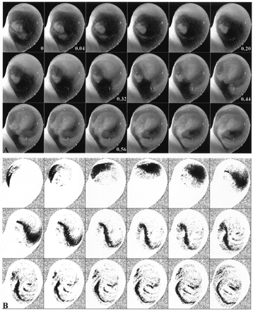 Fig 4.