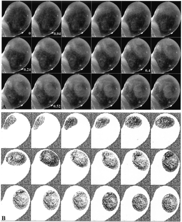 Fig 5.