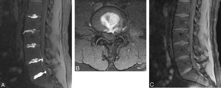 Fig 1.