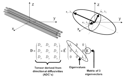 Fig 1.