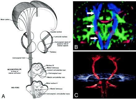 Fig 10.