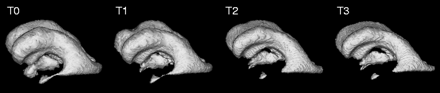Fig 2.