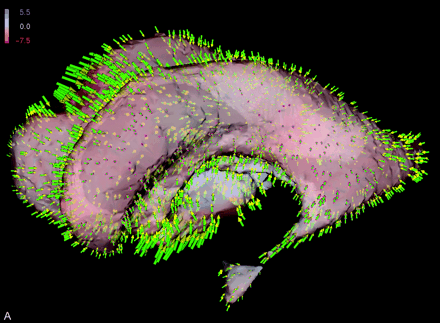 Fig 3.