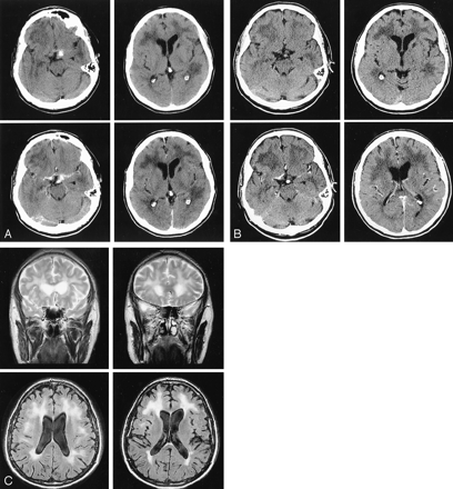 Fig 1.