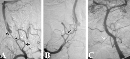 Fig 1.