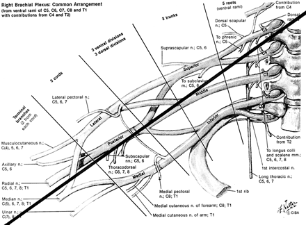 Fig 9.