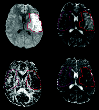 Fig 1.
