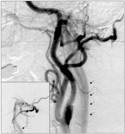Fig 1.