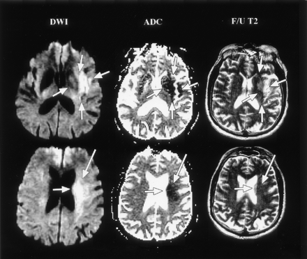 Fig 2.