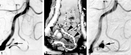 Fig 1.