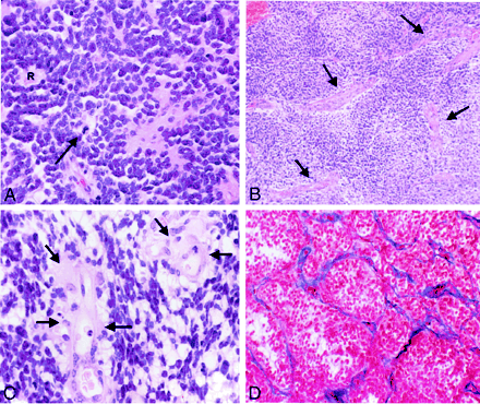 Fig 4.