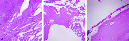 Fig 6.