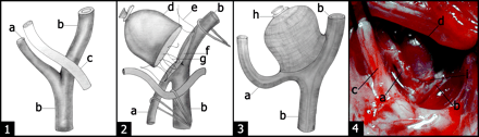 Fig 1.