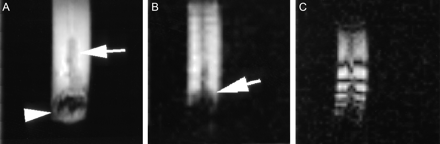 Fig 2.