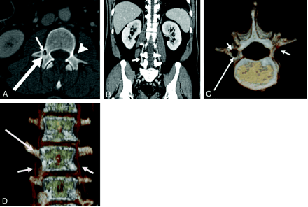 Fig 1.