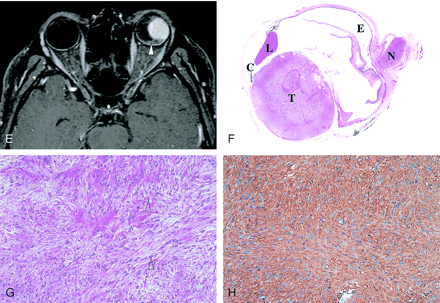 Fig 1.