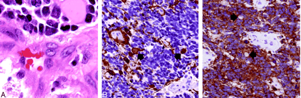 Fig 2.