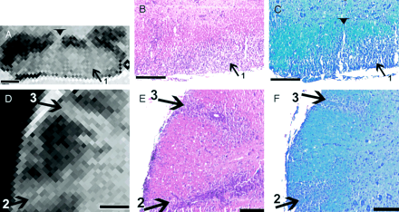 Fig 3.