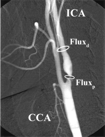 Fig 1.