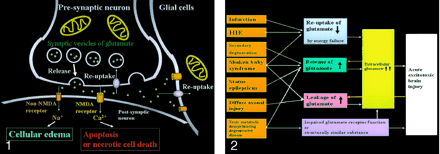Fig 2.
