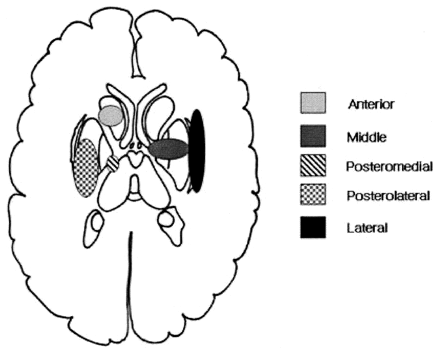 Fig 1.