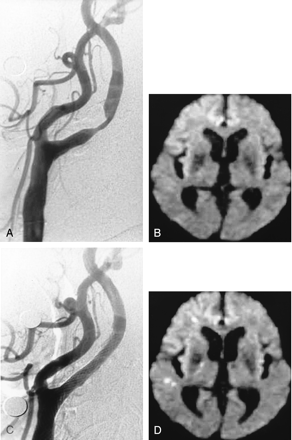 Fig 3.