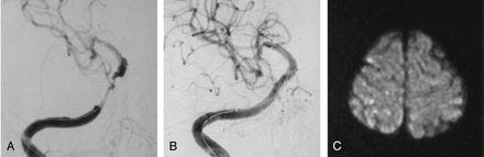 Fig 1.