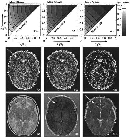 Fig 4.