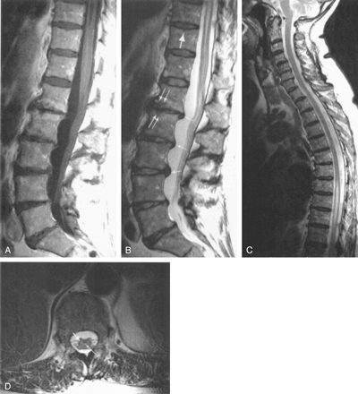 Fig 1.