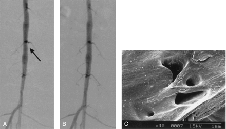 Fig 2.