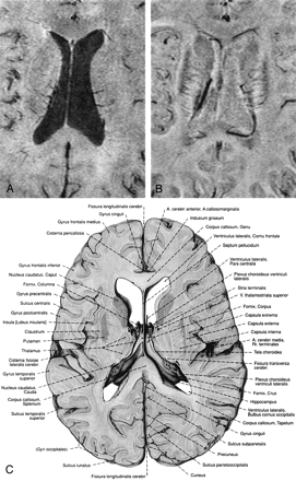 Fig 2.