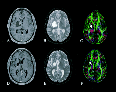 Fig 1.