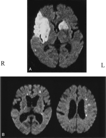 Fig 1.