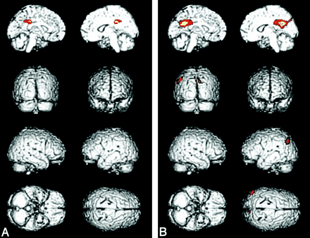 Fig 1.