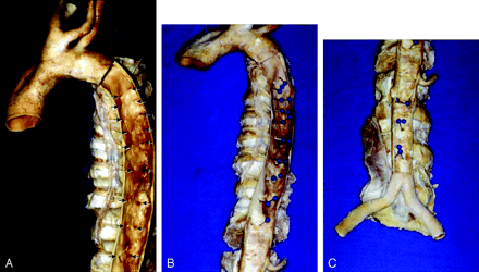 Fig 2.