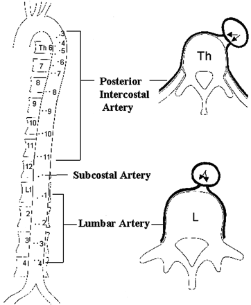 Fig 3.