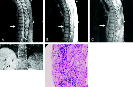 Fig 2.