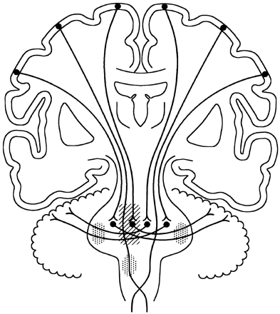 Fig 2.