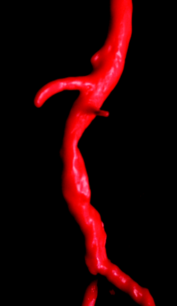 Fig 6.