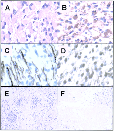 Fig 3.