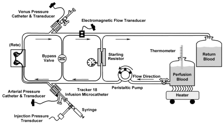 Fig 1.