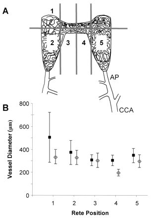 Fig 3.