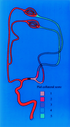 Fig 1.